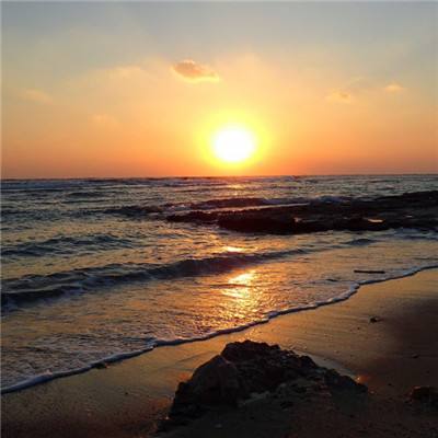 太阳集团娱乐官方网站下载