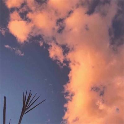 亚博体育(中国)官方网站下载手机版