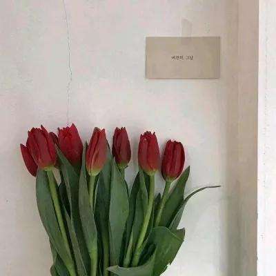 半岛官方APP入口app下载