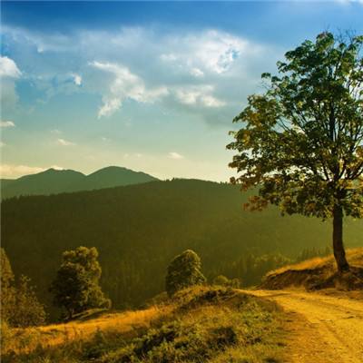 凤凰彩票APP下载